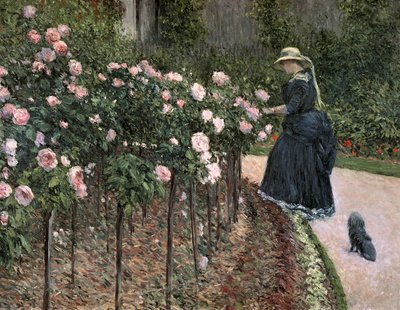 Rosen im Garten von Petit Gennevilliers, 1886 von Gustave Caillebotte